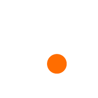 Birdeye logo